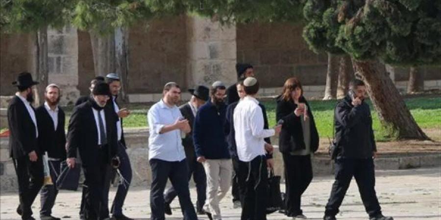 الأمم المتحدة: وثقنا أكثر من 1540 اعتداء للمستوطنين بالأراضي الفلسطينية منذ بداية 2026